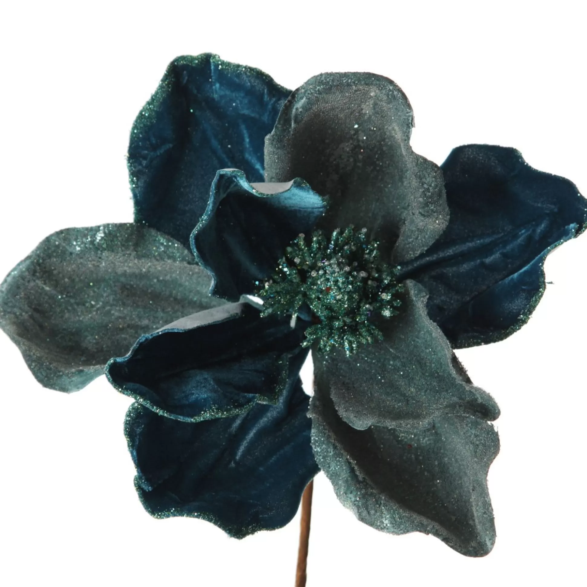 Blue Magnolia Flower on Stem Christmas Flowers |