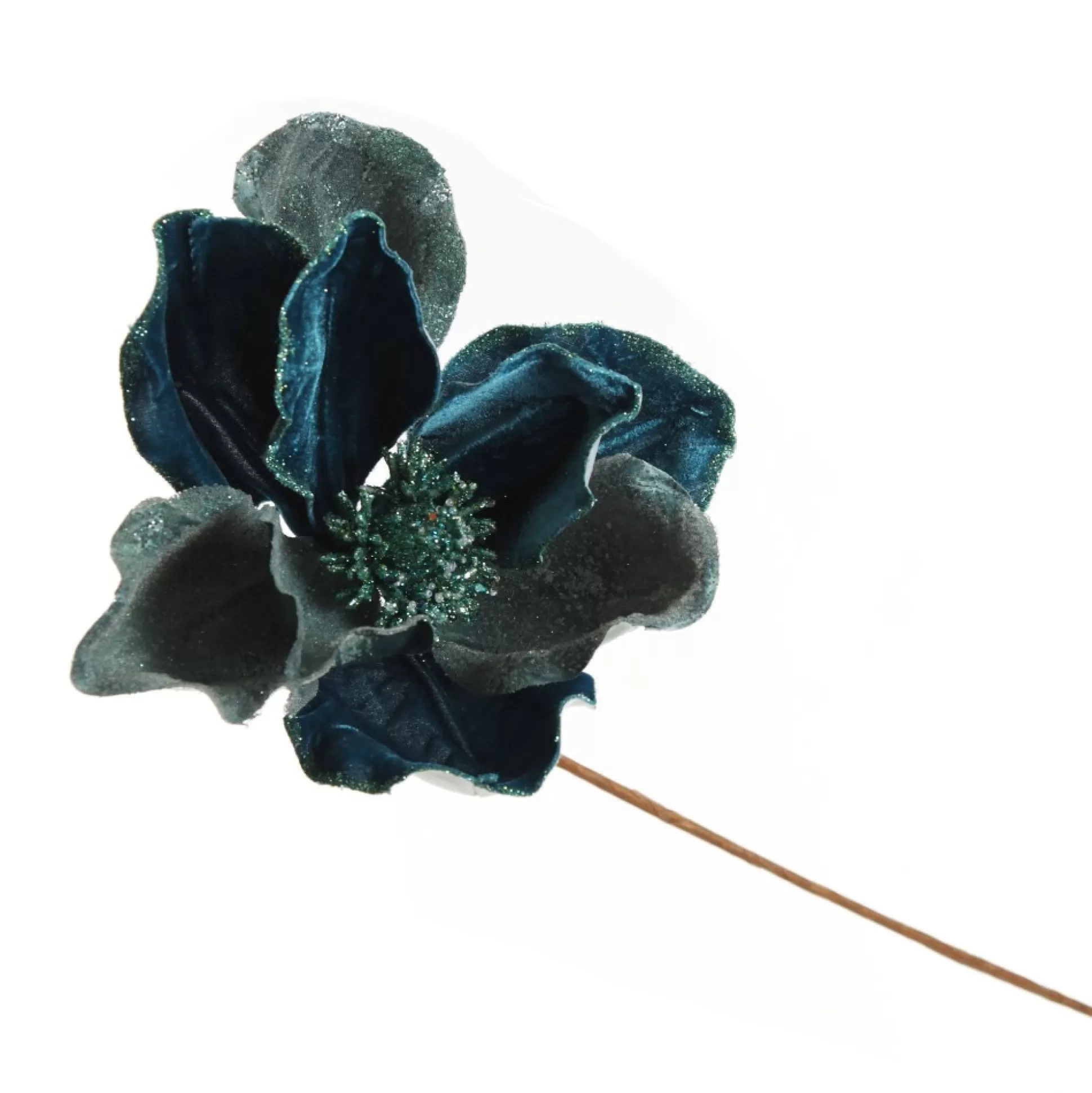 Blue Magnolia Flower on Stem Christmas Flowers |