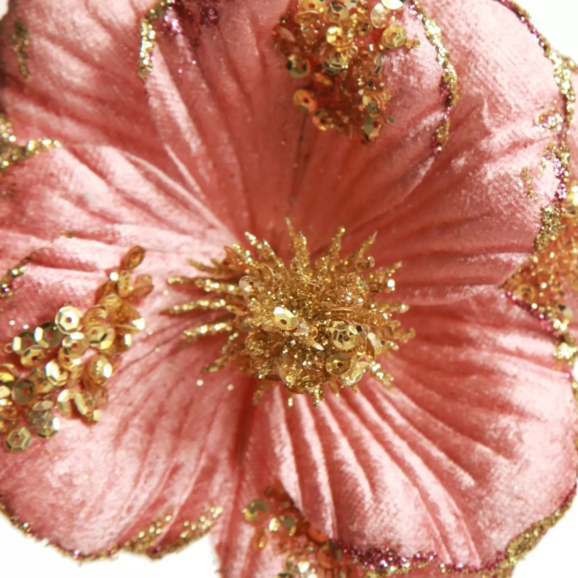 Blush Velvet Magnolia Flower with Gold Sequin Tips Christmas Flowers |