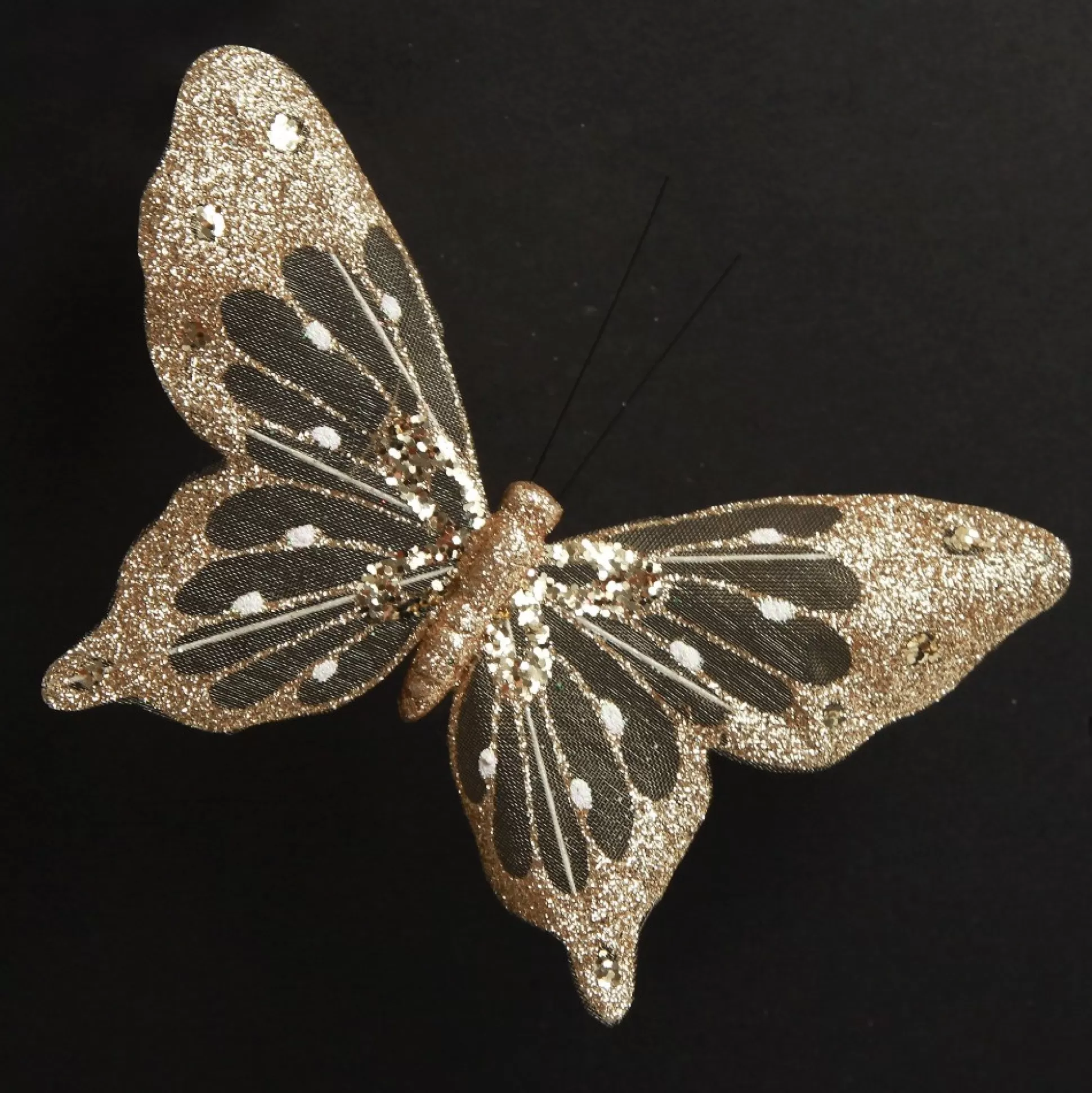 Champagne and Gold Butterfly Clip Butterflies And Birds |