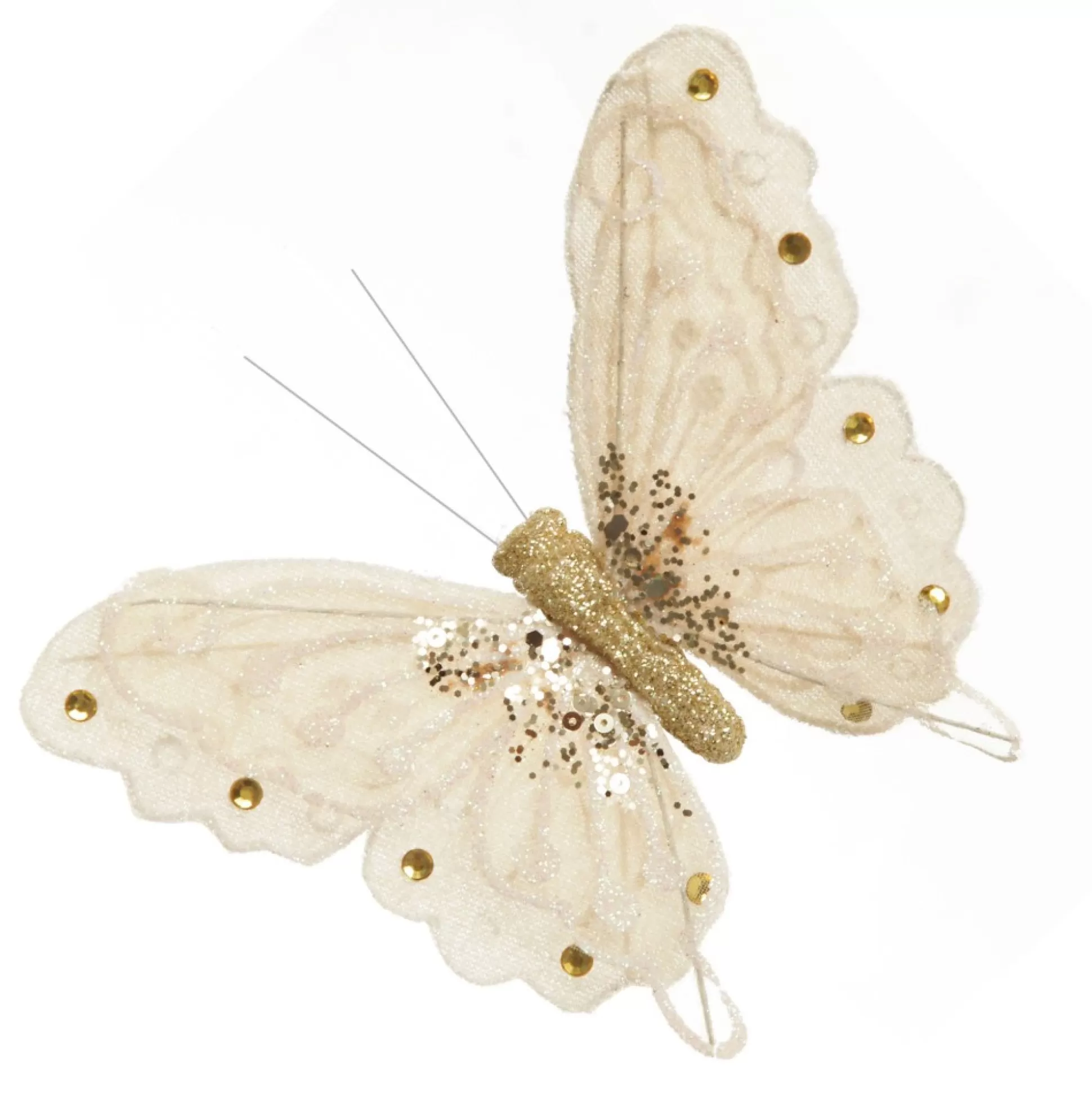 Champagne Butterfly Clip Butterflies And Birds |