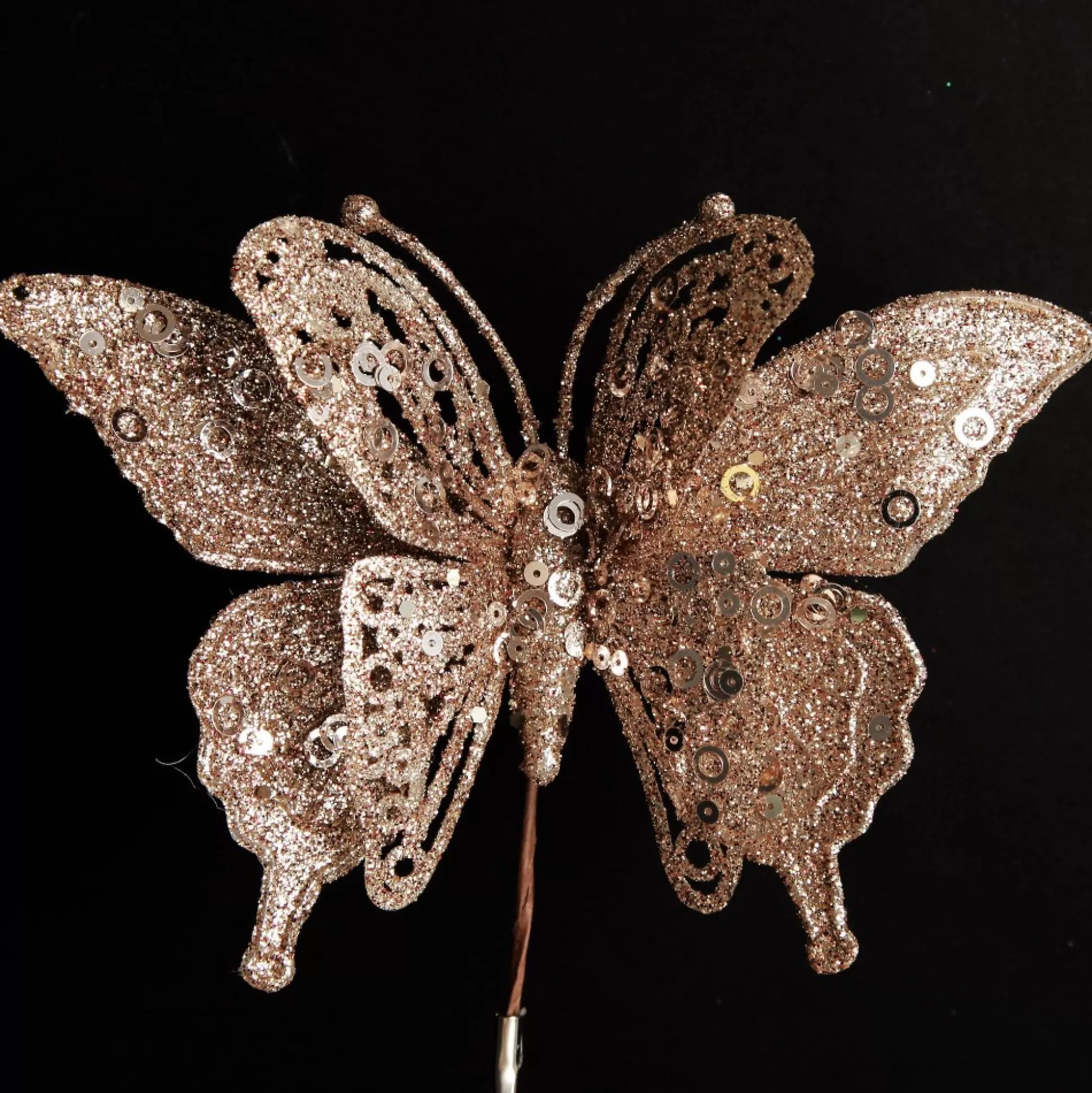 Champagne Glitter and Sequin Butterfly Clip Butterflies And Birds |