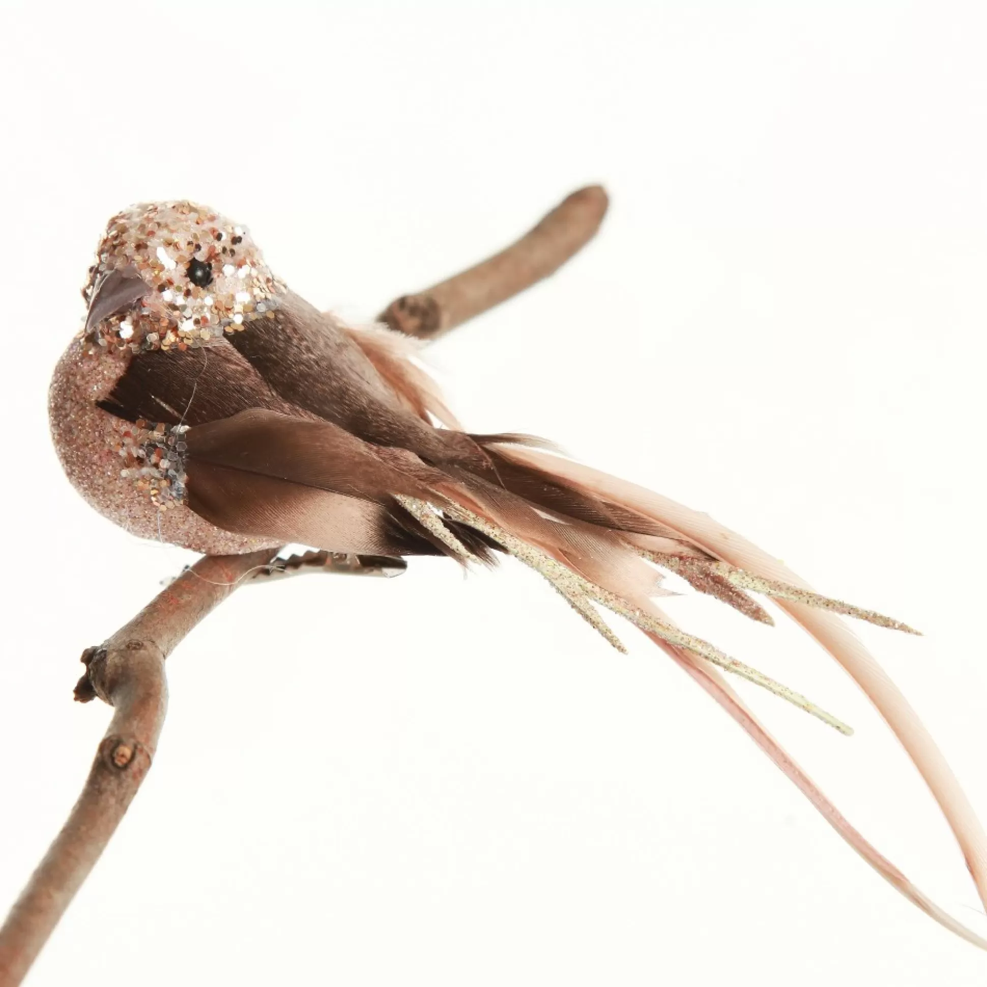 Champagne Pink Bird Clip Butterflies And Birds |