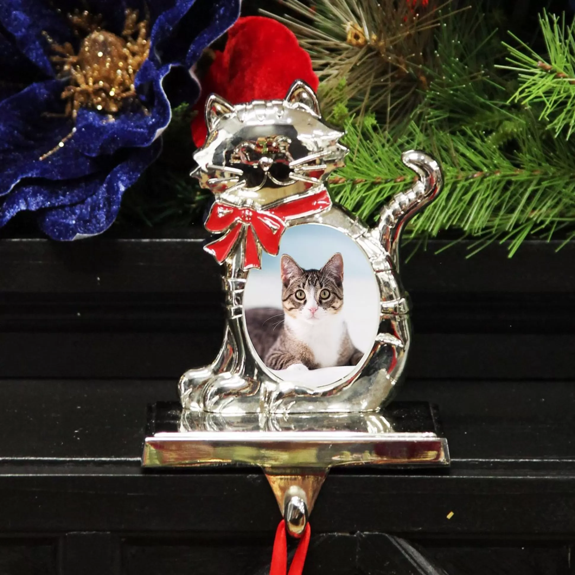 Chrome Cat Christmas Stocking Hanger with Photo Holder Pet Stockings |