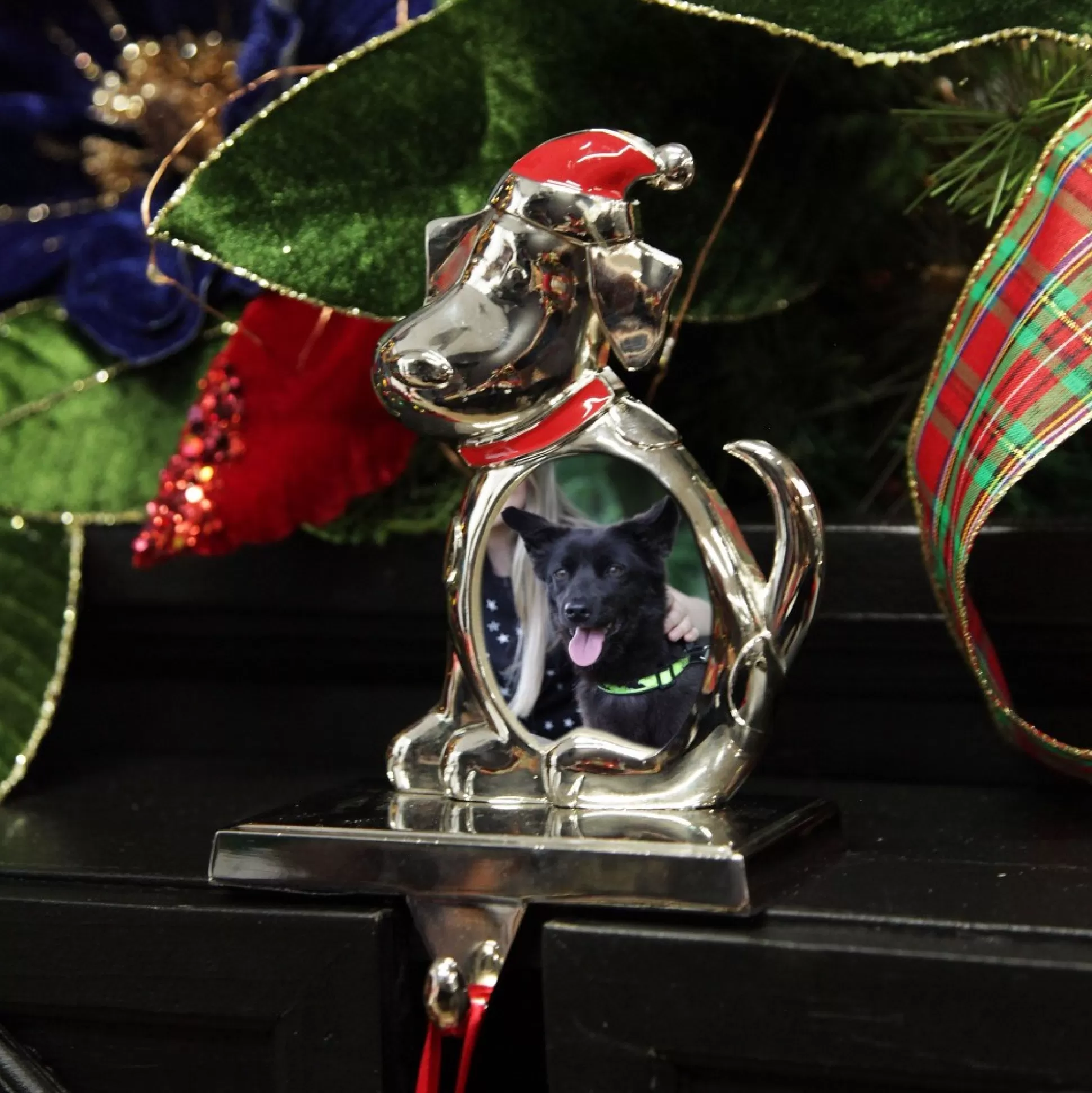 Chrome Dog Christmas Stocking Hanger with Photo Holder Pet Stockings |