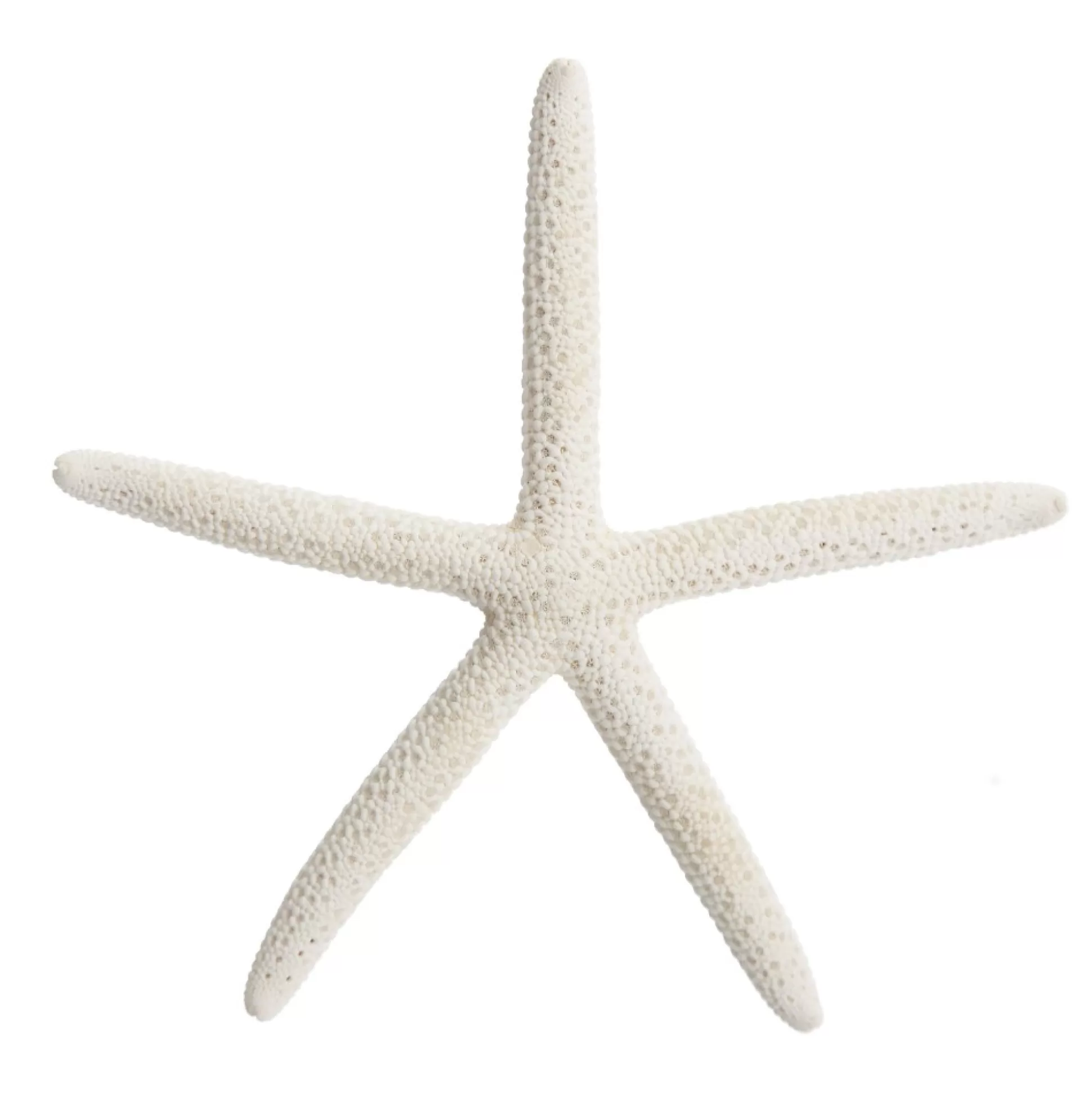 Finger Starfish White Small Beach Decorations |