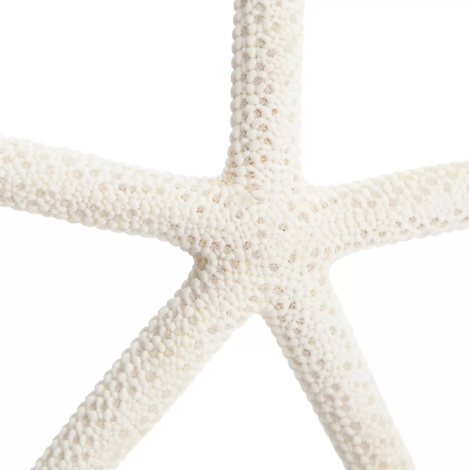 Finger Starfish White Small Beach Decorations |