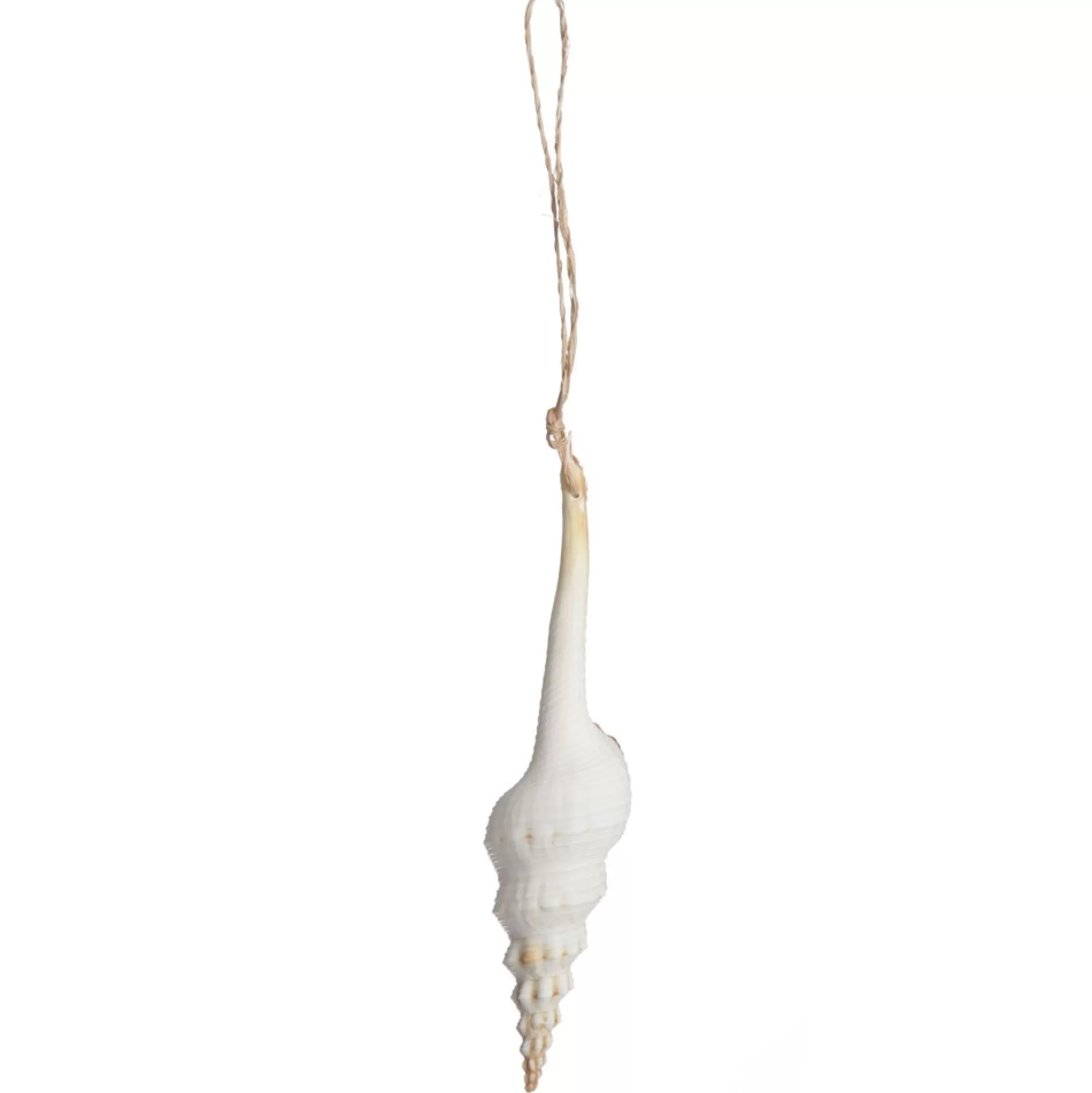 Hanging Conch Shell Tree Decoration Beach Decorations |