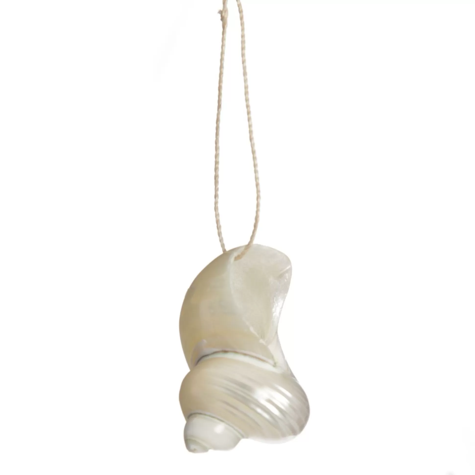 Hanging Silvermouth Shell Tree Decoration Beach Decorations |