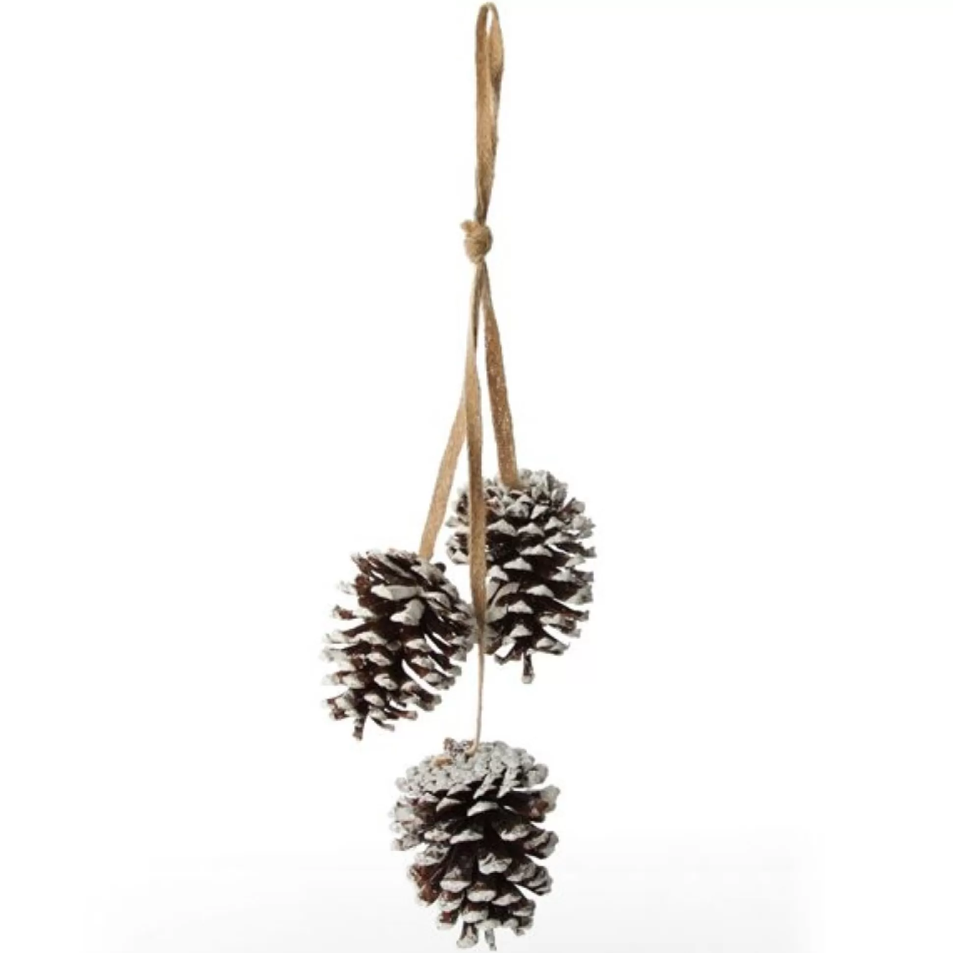 Natural Snow Tipped Pine Cone Drop Trio Pinecones And Acorns |