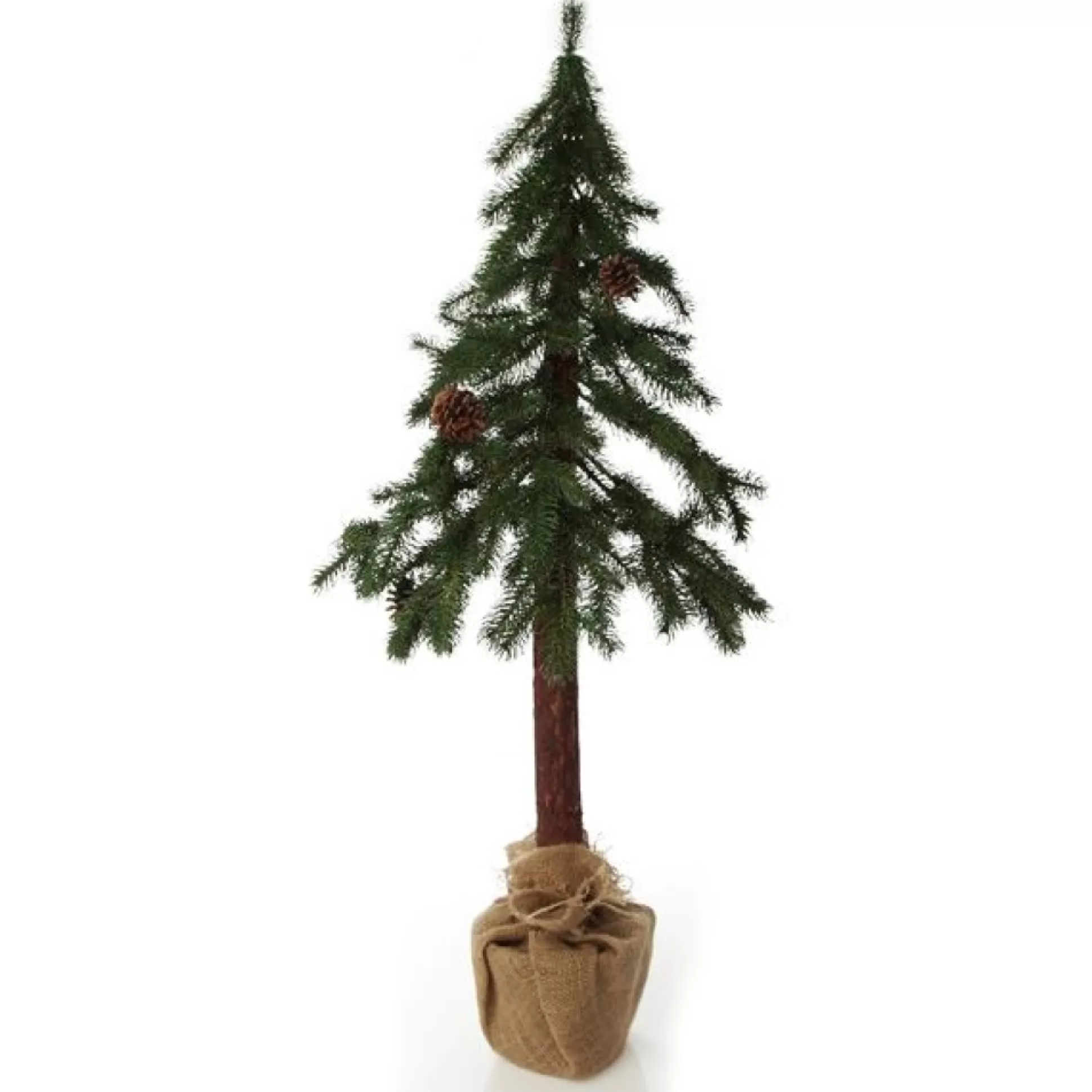 Pencil Pine Christmas Tree Table Top Christmas Trees |