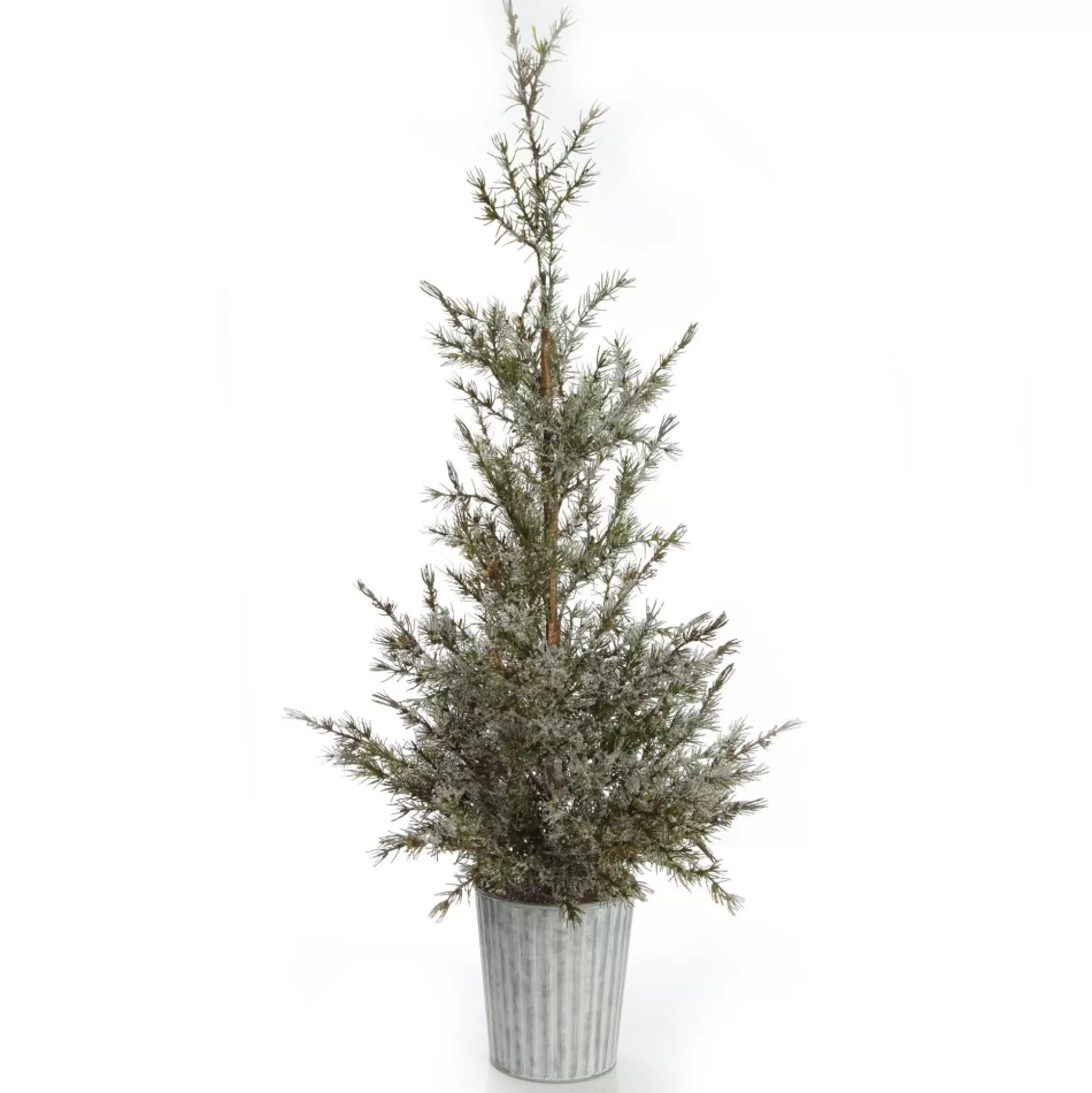 Potted Christmas Pine Tree with Snowy Top Table Top Christmas Trees |