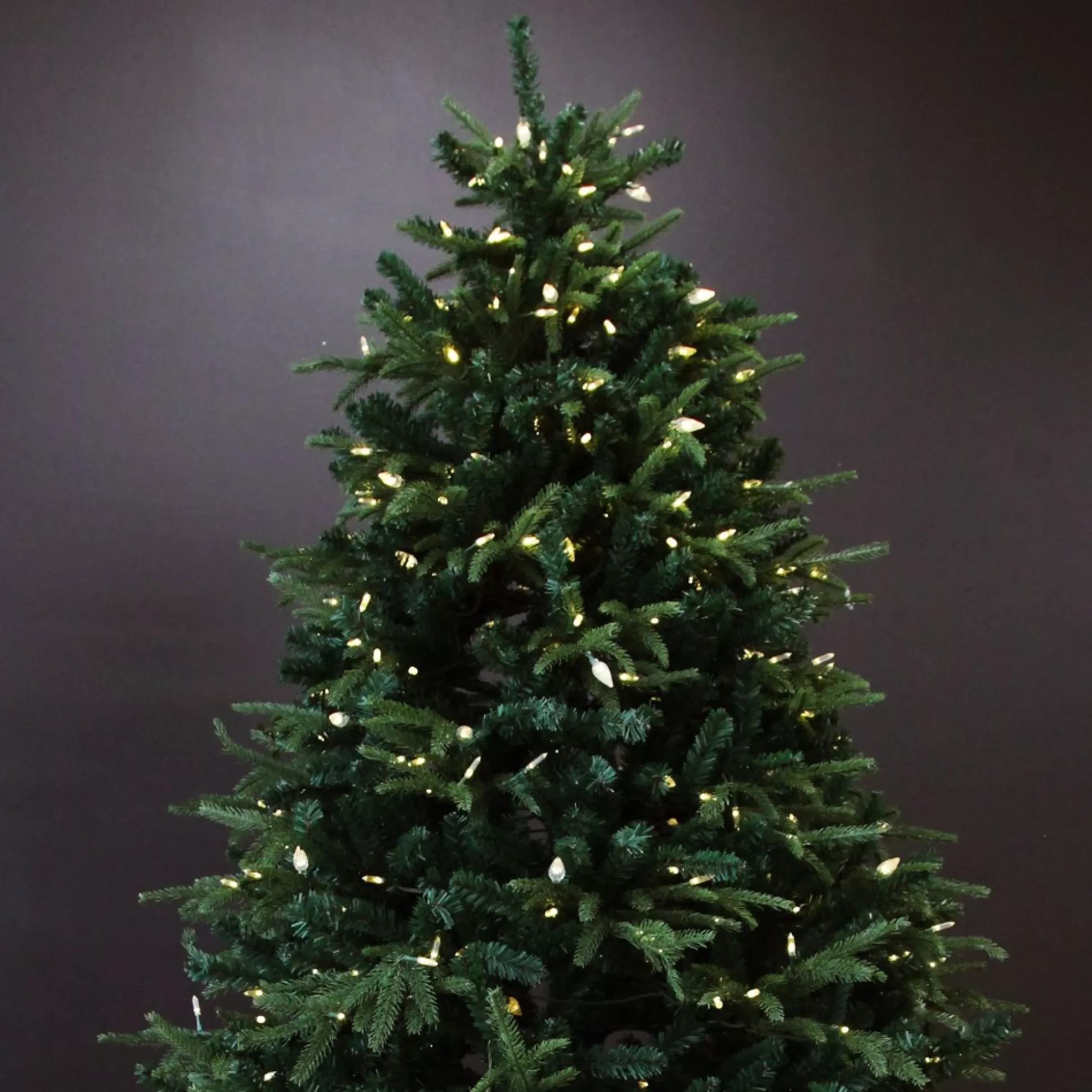 Pre-lit Fraser Fir Christmas Tree Christmas Trees |