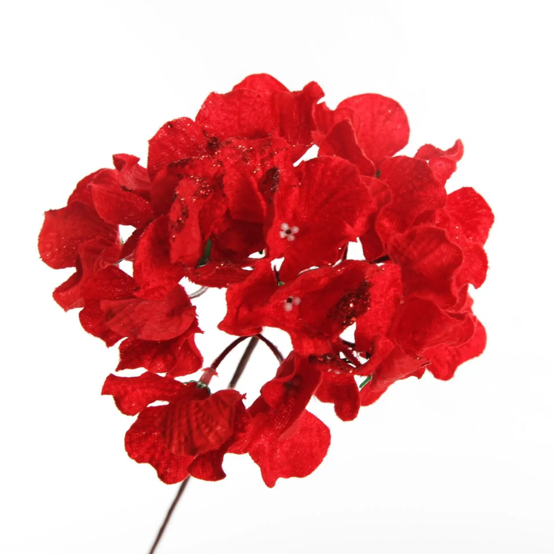 Red Hydrangea Flower Stem Christmas Flowers |