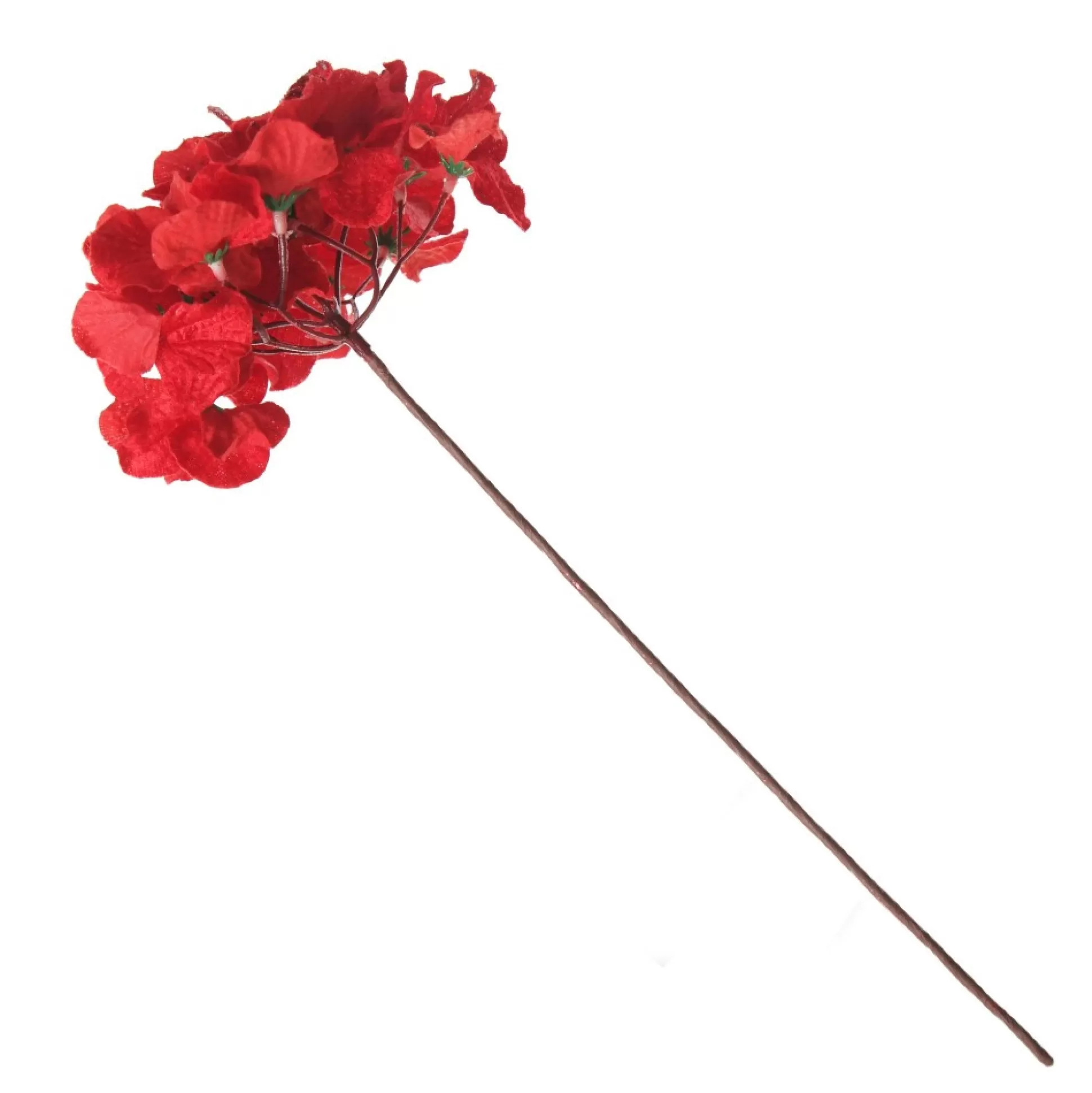 Red Hydrangea Flower Stem Christmas Flowers |