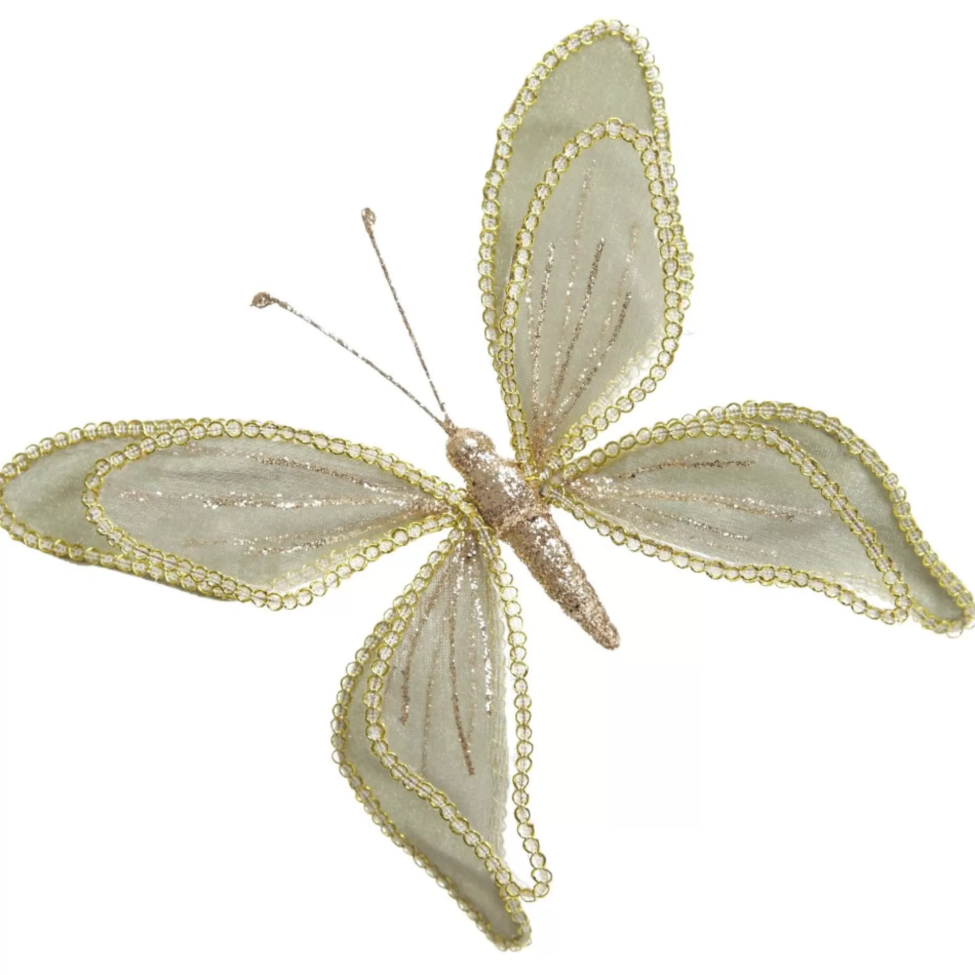 Sage Green and Sequin Delicate Butterfly Butterflies And Birds |