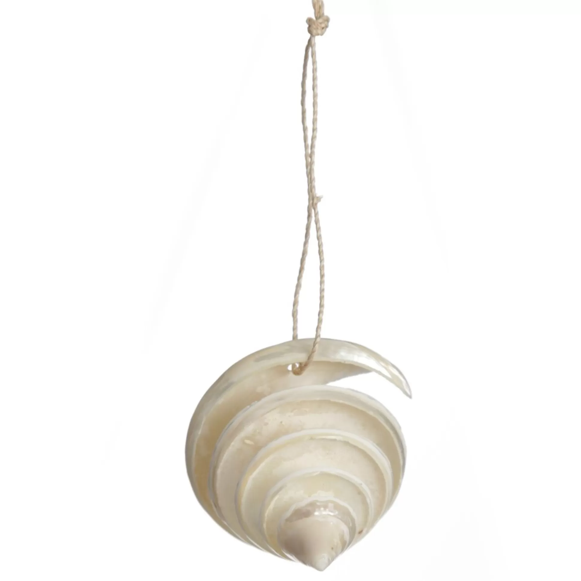 Spiral Cutout Shell Tree Decoration Beach Decorations |